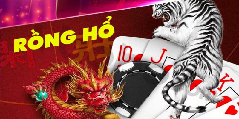 Các phương pháp soi cầu rồng hổ phổ biến và hiệu quả